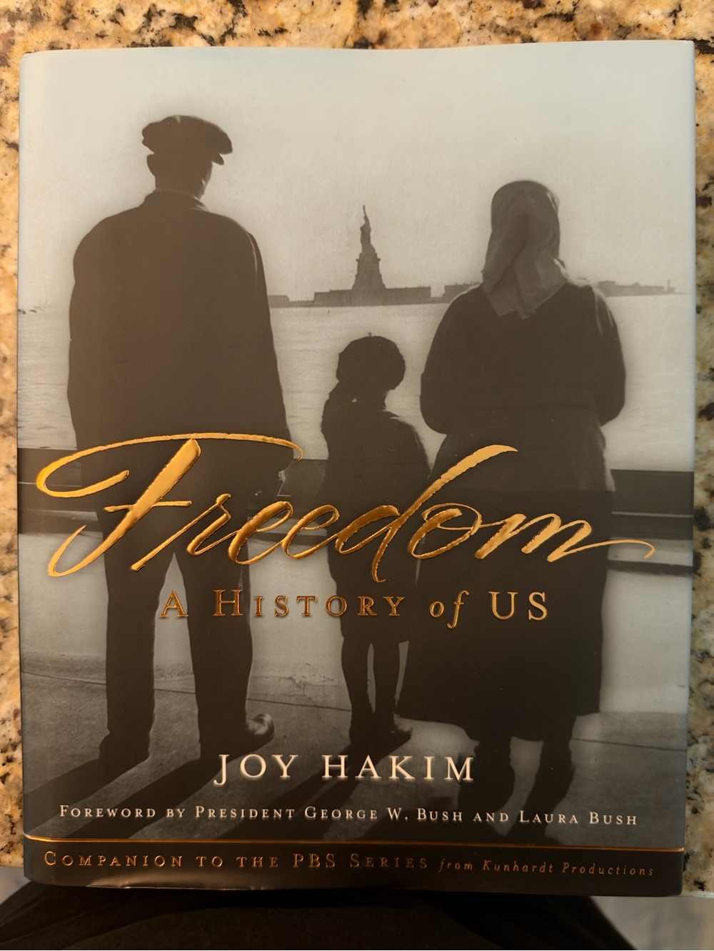 Freedom: A History of Us — Book in Black and Gold